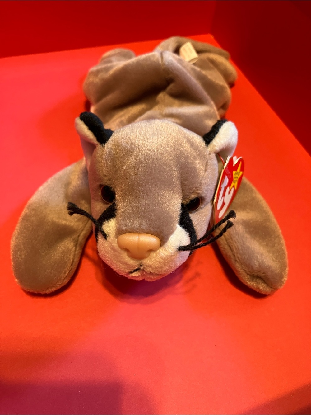 TY Beanie Baby Canyon 1998